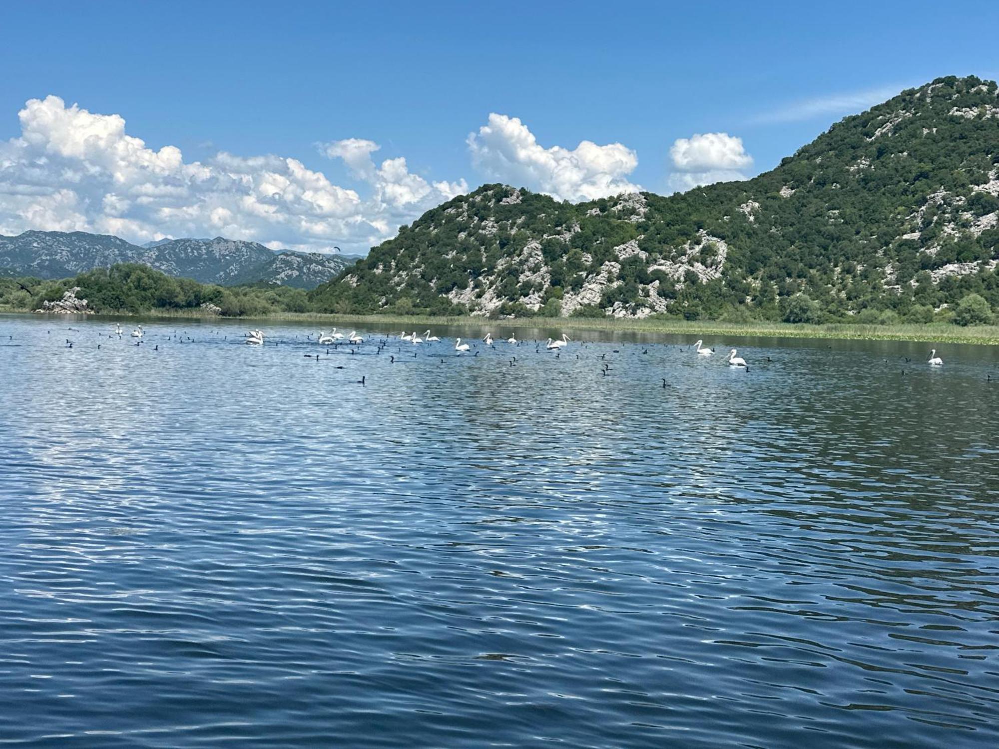 Apartment Konoba Ulicevic Vranjina Bagian luar foto